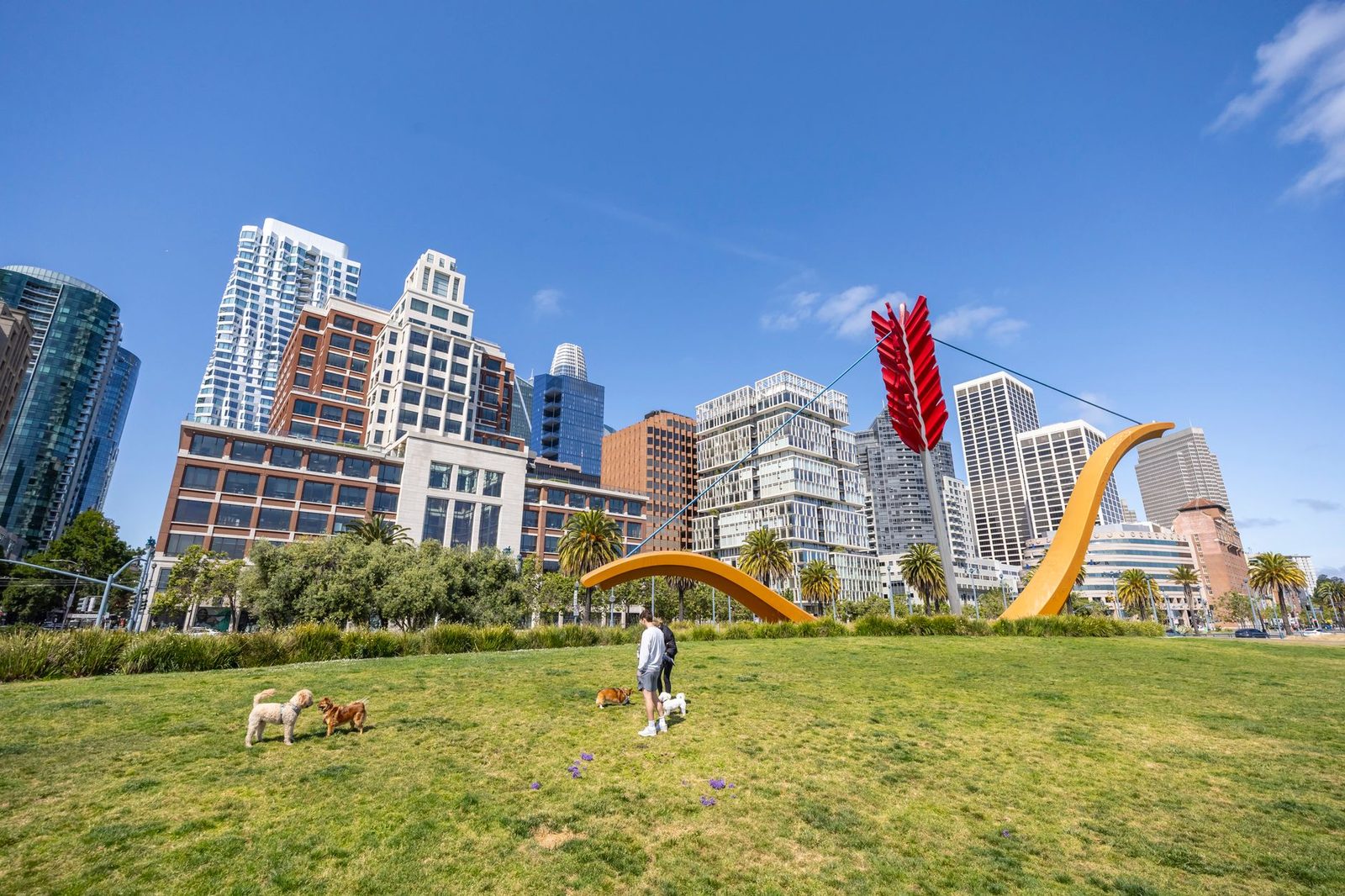 Dogs playing in a city park beside a landmark sculpture, with a skyline in the background