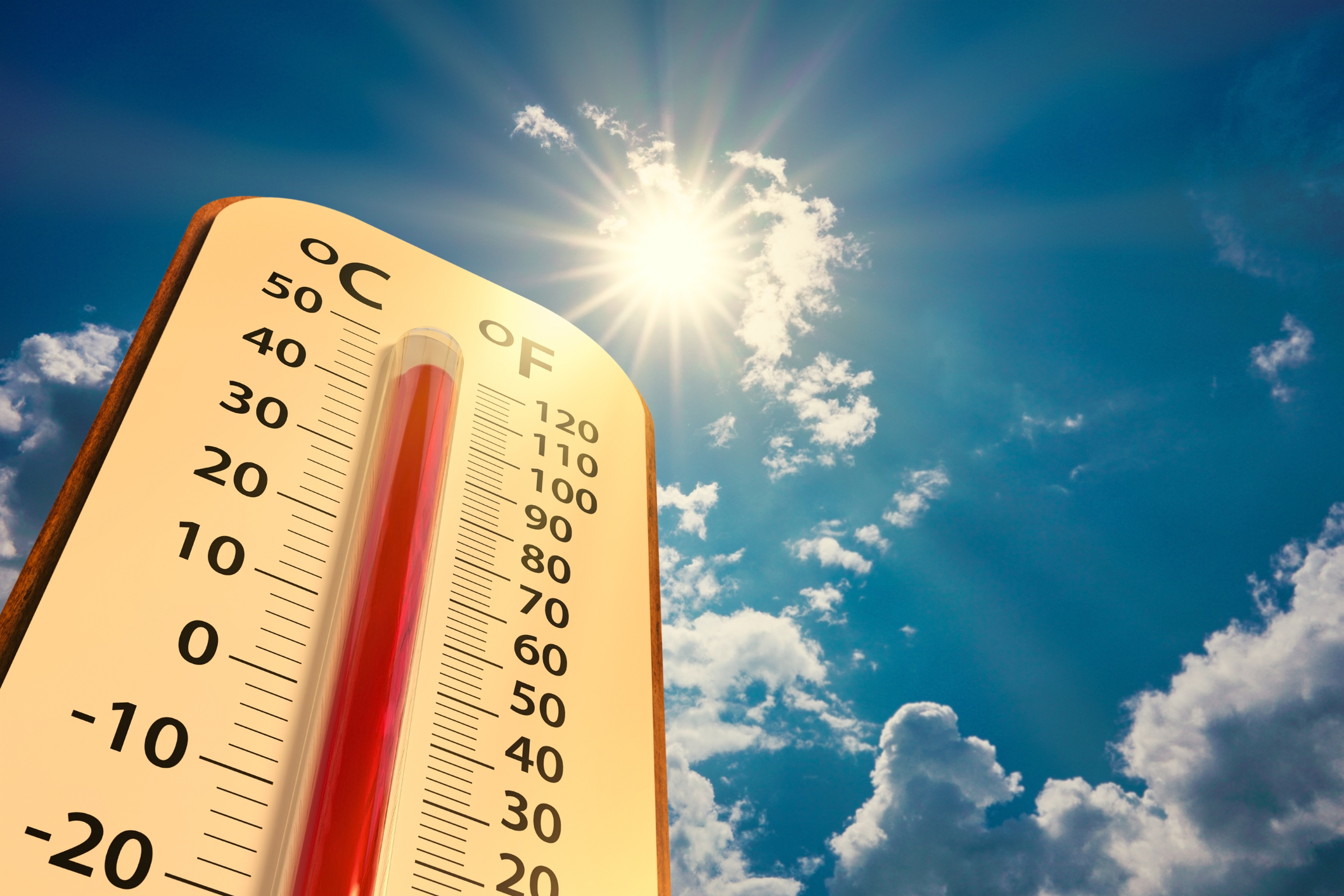 Thermometer in the summer heat