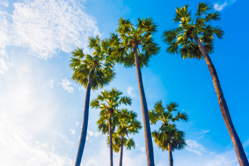 Injured While Traveling in California? Here’s What You Need to Do