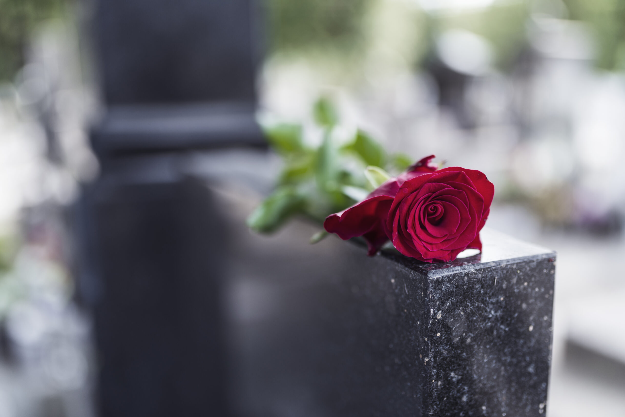 wrongful death legal process